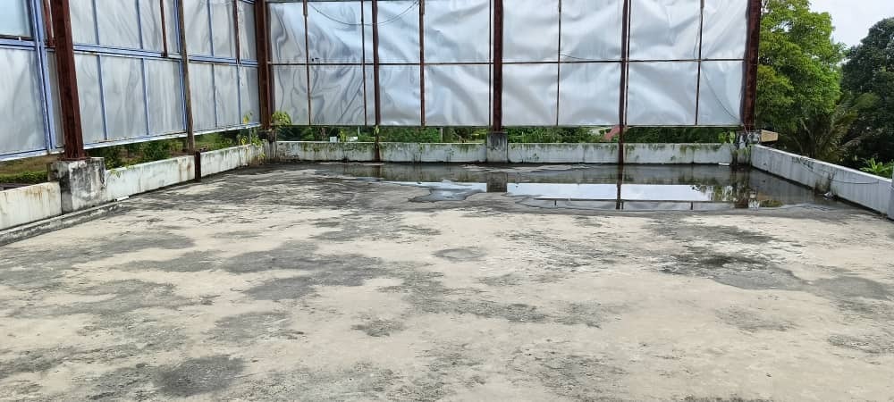 Rooftop 6 torch on system (mineral membrane) before