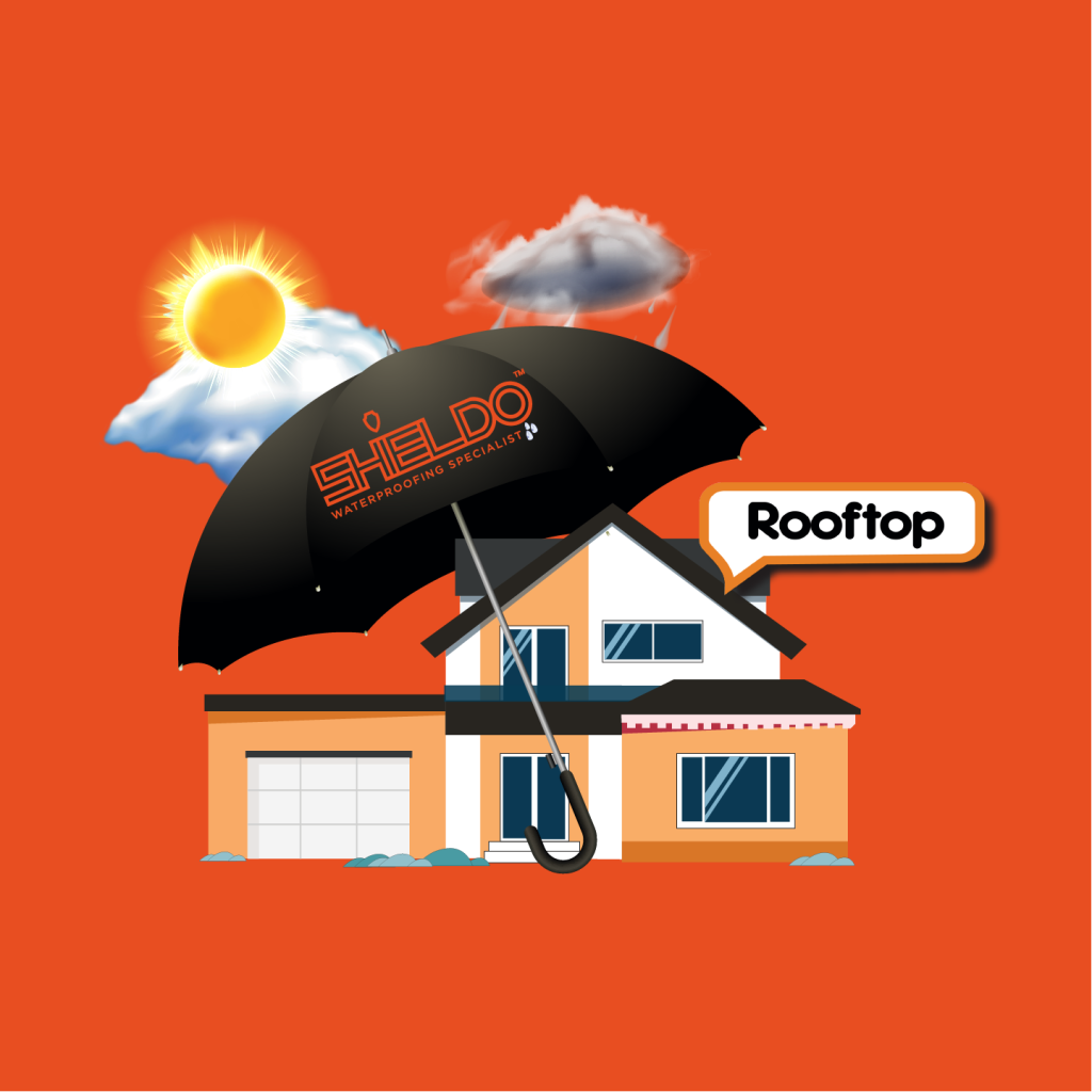 Rooftop featured img