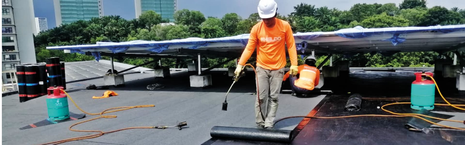 Tos (m) no logo bg img (1)