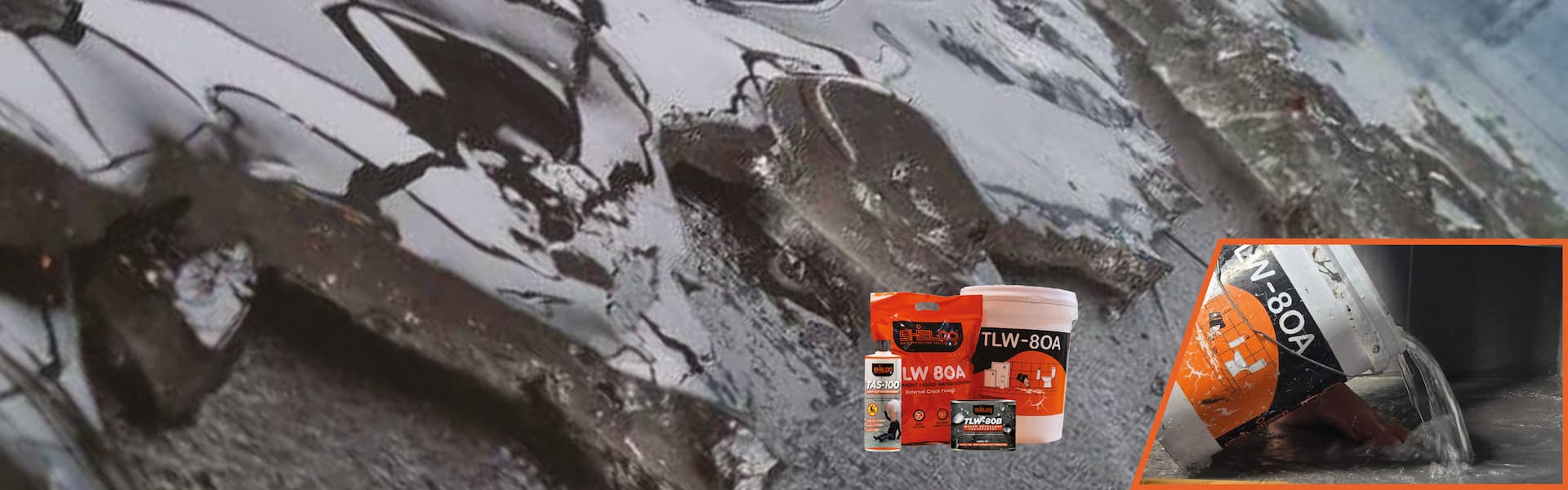 Wbs no logo bg img (1)